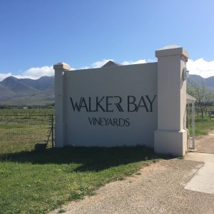 Walker Bay Vineyards