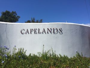 Capelands